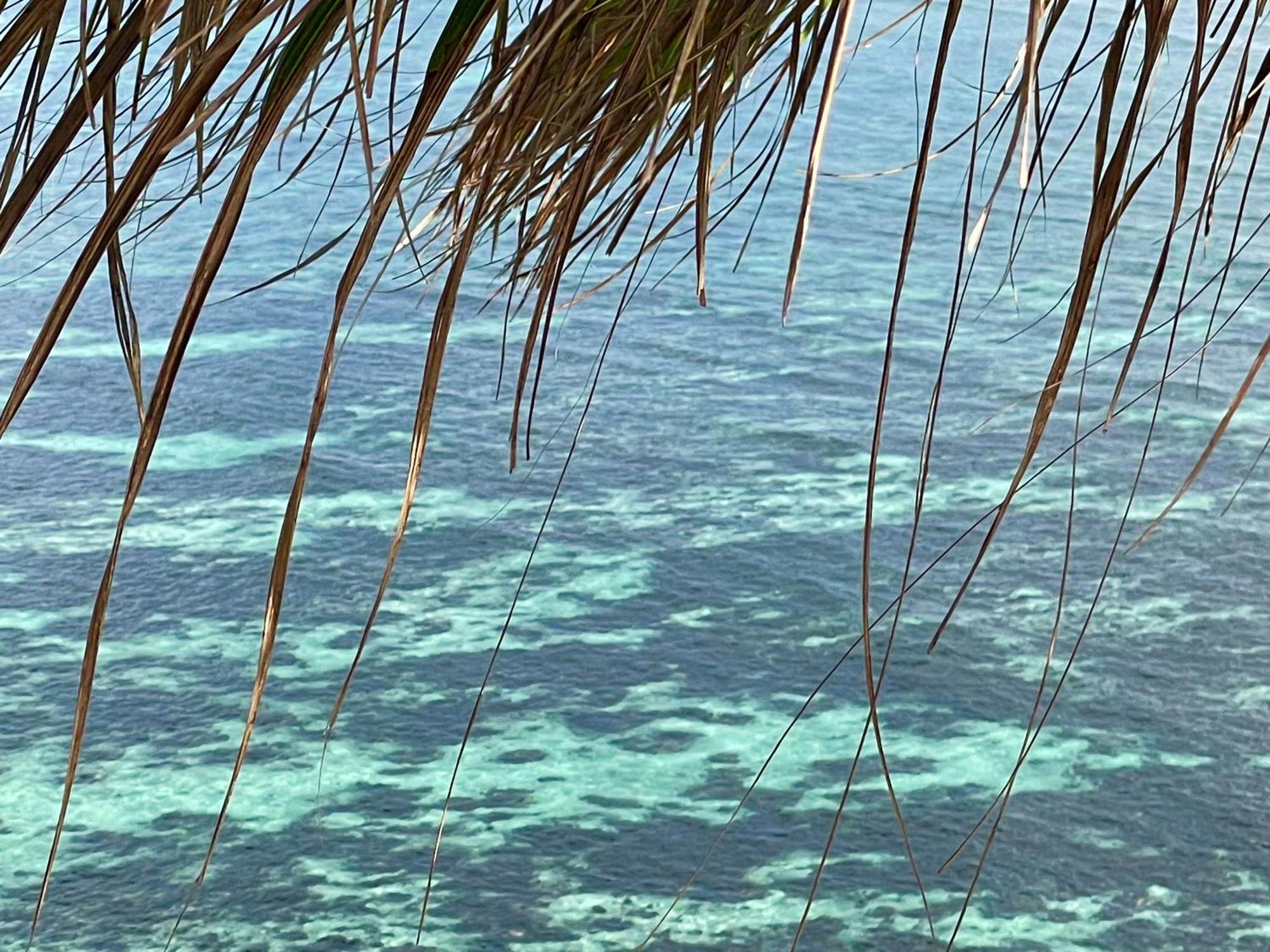 Chalets Bougainville Takamaka Bilik gambar